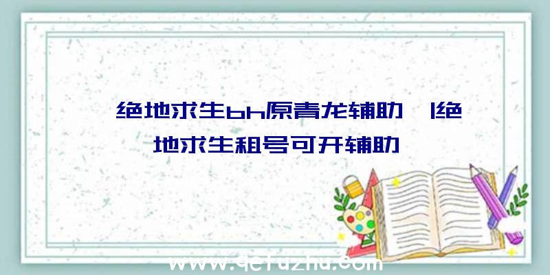 「绝地求生bh原青龙辅助」|绝地求生租号可开辅助